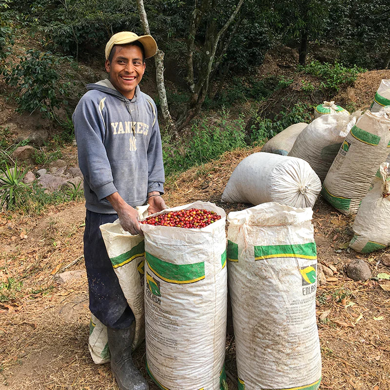 Guatemala Huehuetenango - Omni