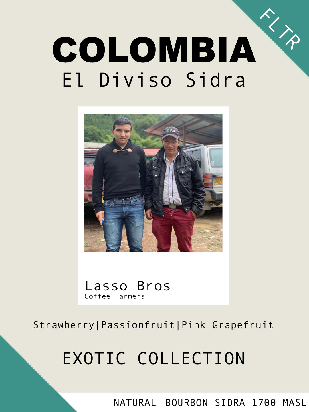 Colombia El Diviso SIDRA - Filter (EXOTIC COLLECTION)