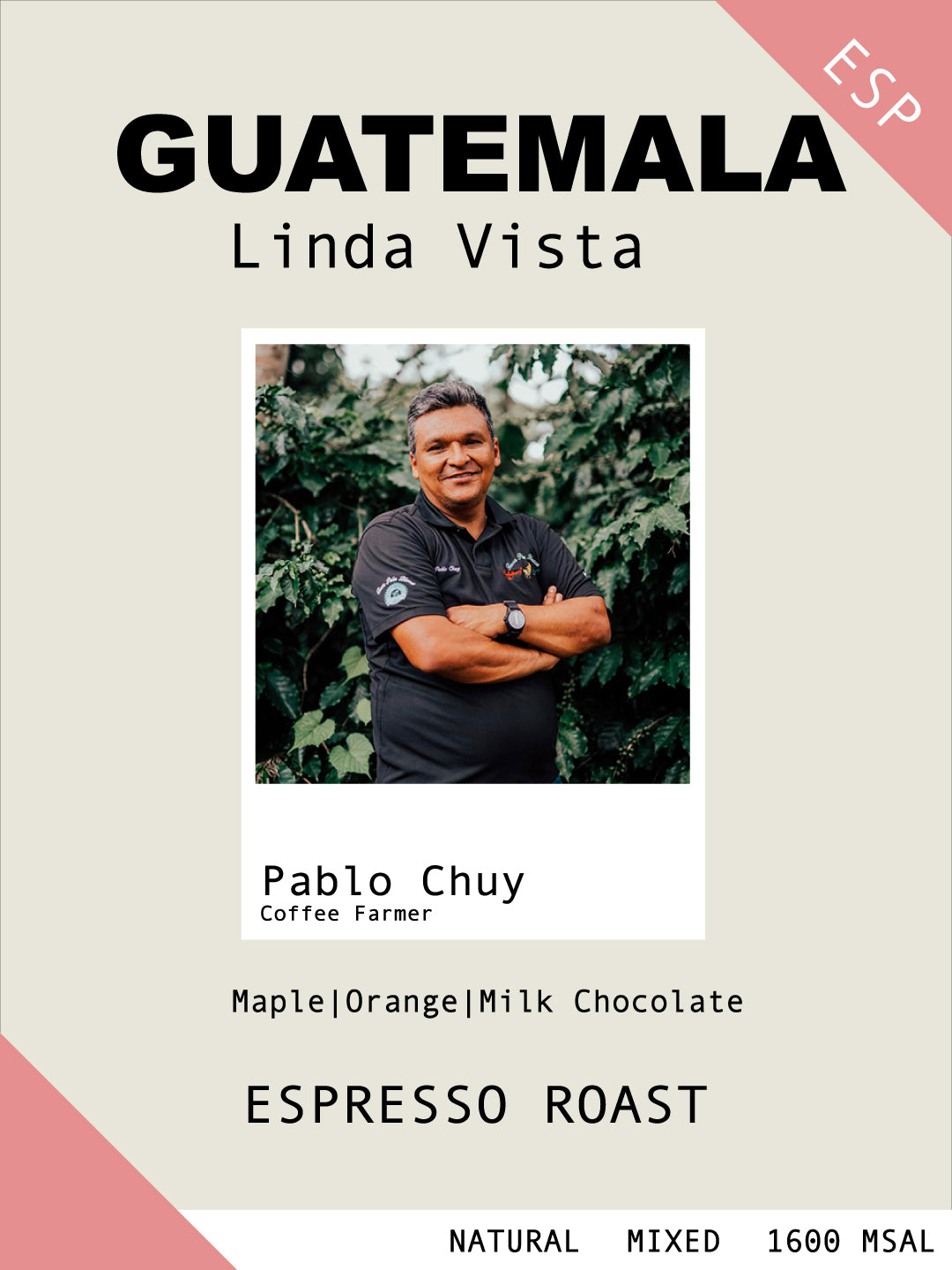 Guatemala Linda Vista washed - Espresso