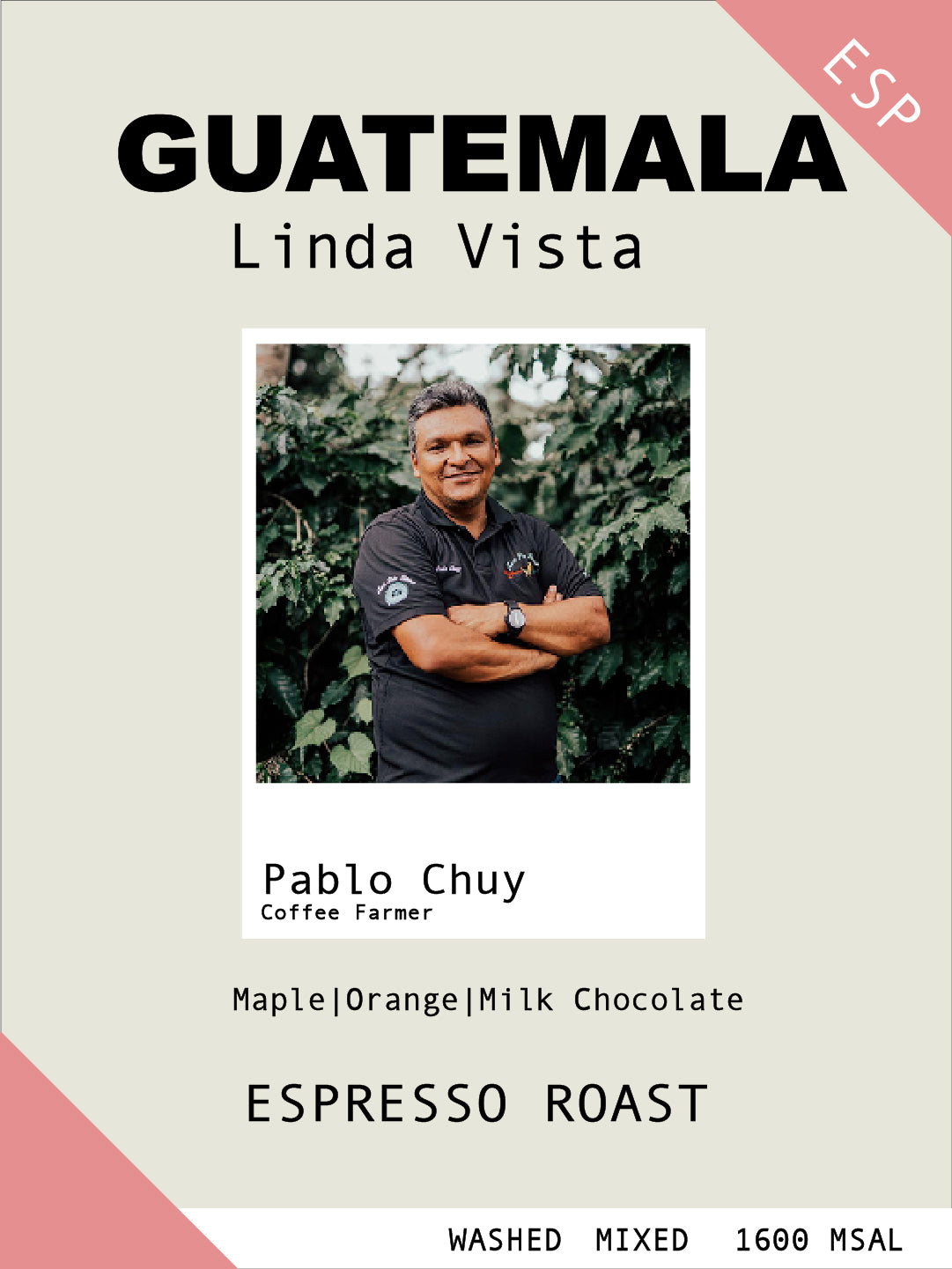Guatemala Linda Vista washed - Espresso